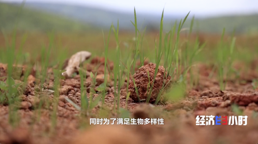 上新” 投资规模稳居全球第三麻将胡了试玩模拟器中国智造“(图17)